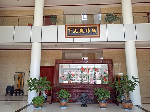 久久亚洲蜜桃成人网
